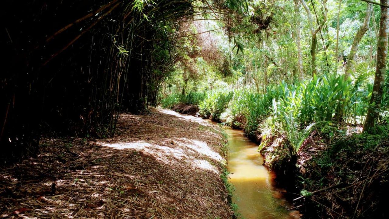 Pousada Villa Pinhal Santo Antônio do Pinhal Eksteriør bilde